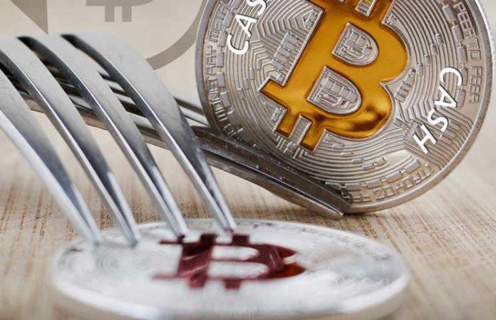 Một fork Bitcoin Cash mới đang được triển khai, giới đầu tư BTC có nên thấy lo lắng?