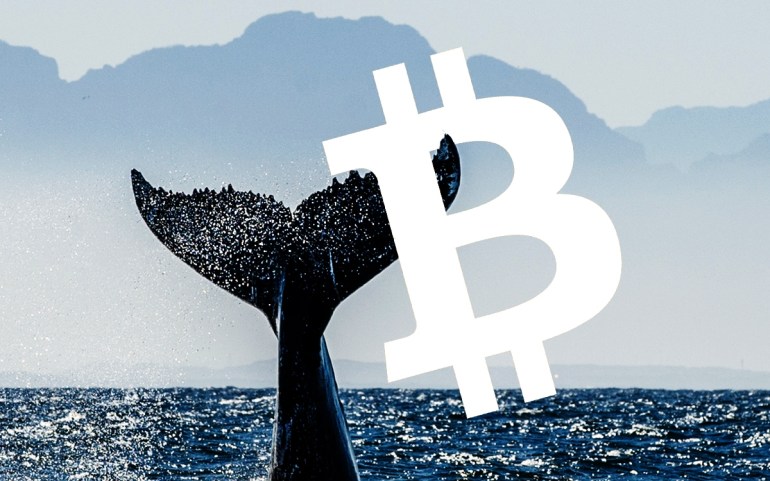Cá voi di chuyển 641 triệu USD Bitcoin