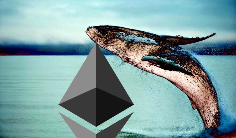 Đợt giảm mạnh của Ethereum thu hút nhiều "cá mập", 1 triệu ETH đã được thanh lý