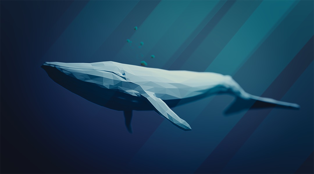 Một cá voi bất ngờ rút sạch ví có hơn 17,000 BTC