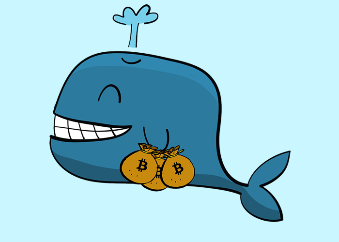 Hai cá voi đã chuyển hàng trăm triệu USD Bitcoin lên Coinbase