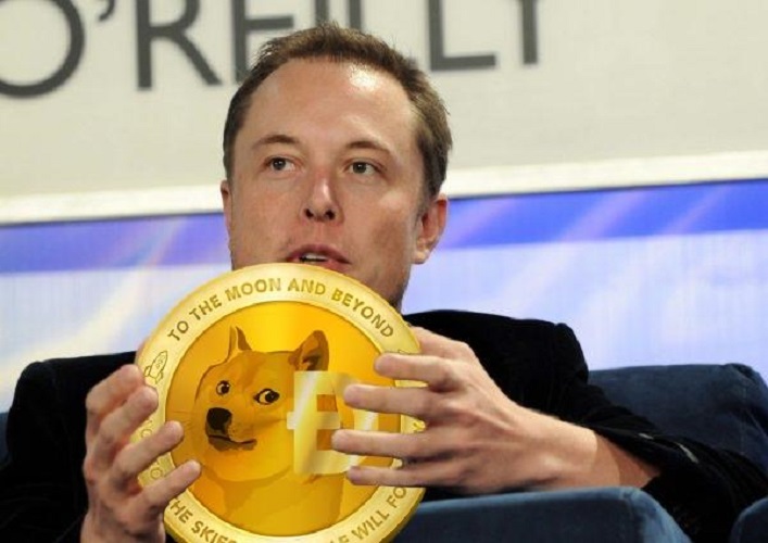 Elon Musk đã đẩy giá Dogecoin lên mấy lần?  - data it may be up to bao nhieu?