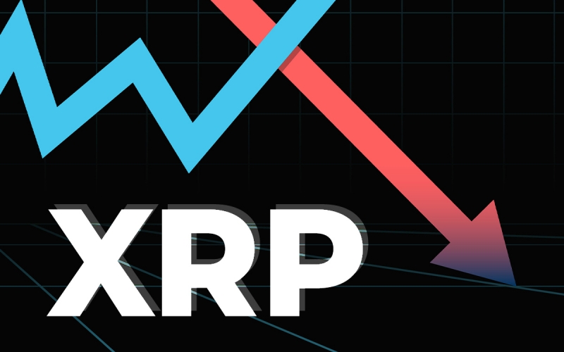 XRP đã bị BNB đẩy xuống vị trí thứ 7 khi tài sản này tiếp tục tăng mạnh
