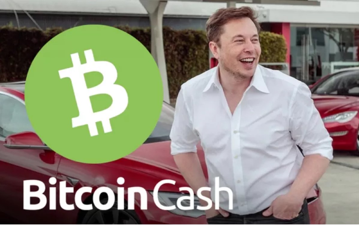 Elon Musk đồng ý việc Bitcoin Cash có một số lợi thế nhất định so với Bitcoin