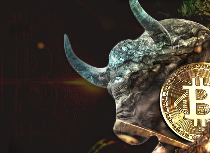 Podle modelu toku akcií dosáhne cena bitcoinu do srpna 115,000 8 USD
