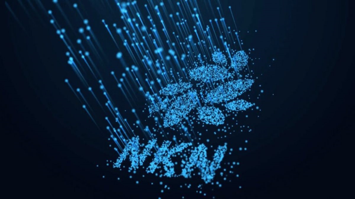 New Kind of Network (NKN) tăng 340% để trở thành 'blockchain lớn nhất thế giới xét về node đồng thuận'
