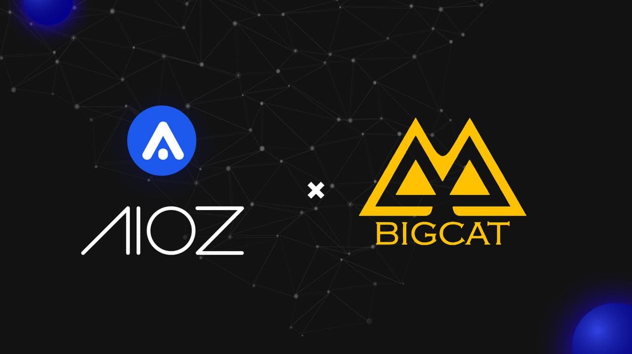 AIOZ Network thông báo hợp tác với Big Cat Entertainment