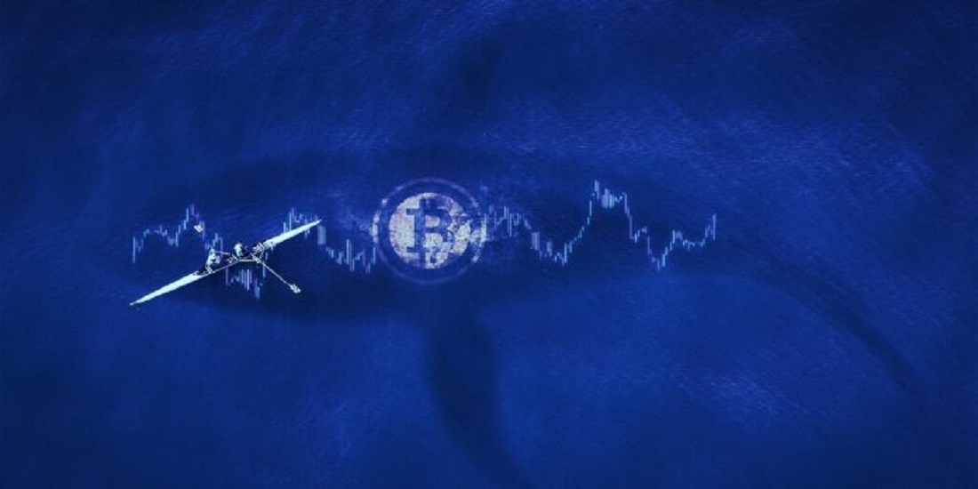 Gần 120 triệu USD Bitcoin được rút ra khỏi Coinbase