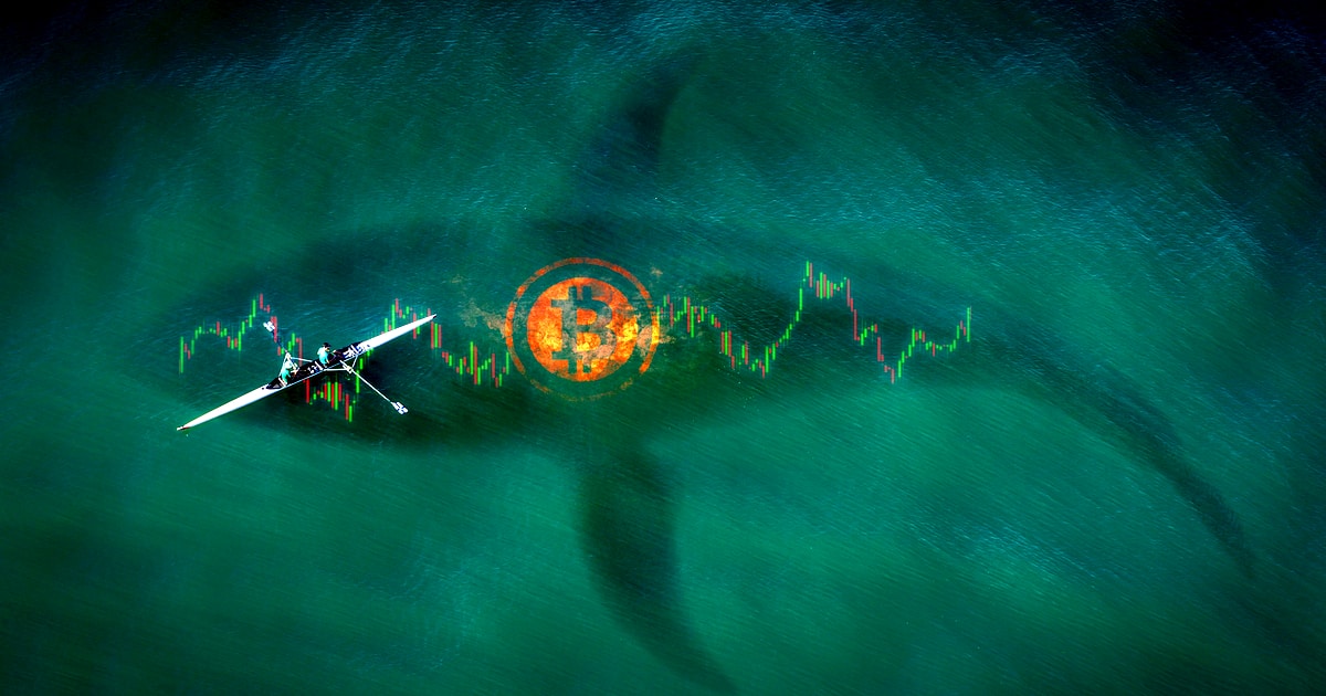 Cá voi gửi BTC vào các sàn giao dịch gây lo ngại về một đợt giảm giá khác