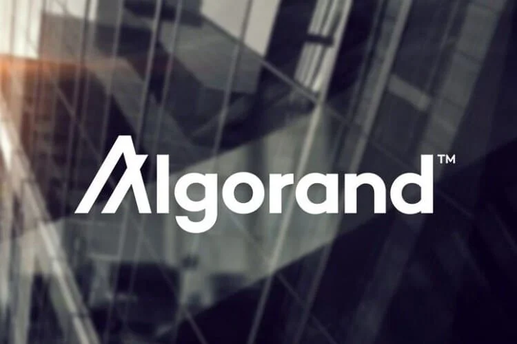 Arrington Capital "rót" 100 triệu USD hỗ trợ dự án trên Algorand
