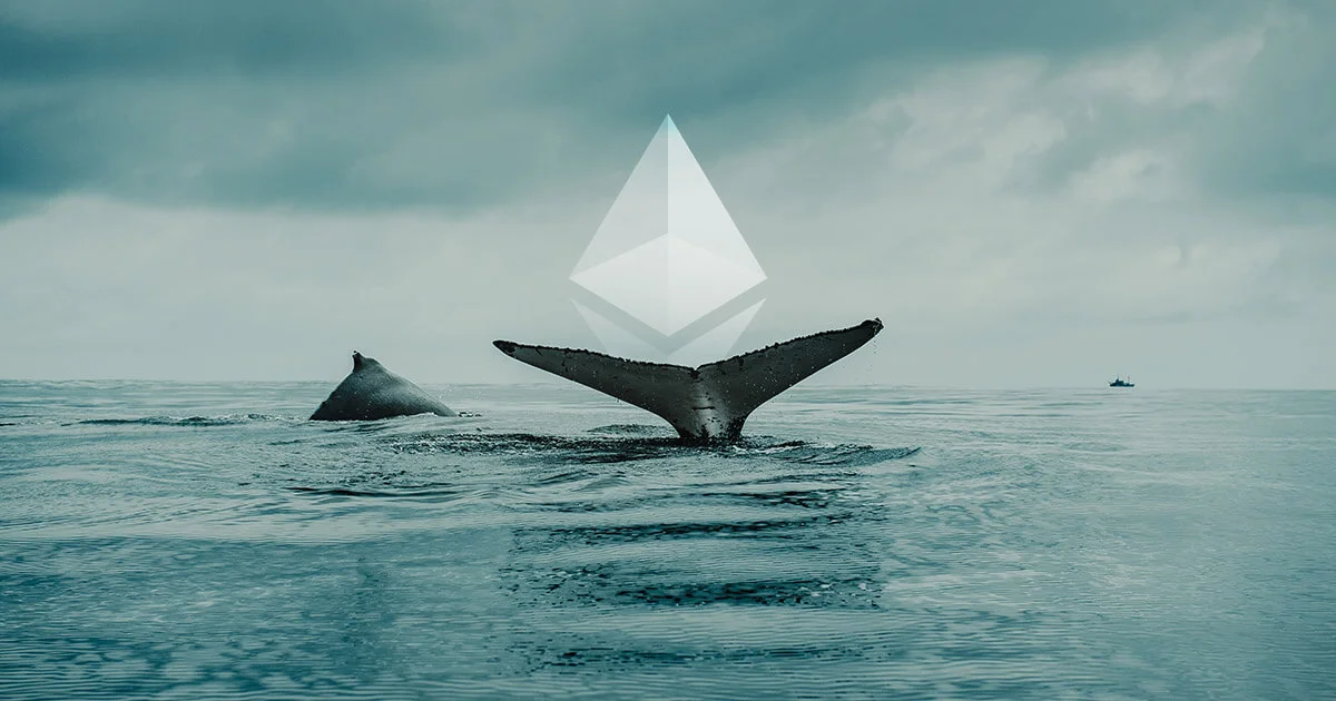 Santiment: Cá voi Ethereum đang âm thầm tích lũy thêm