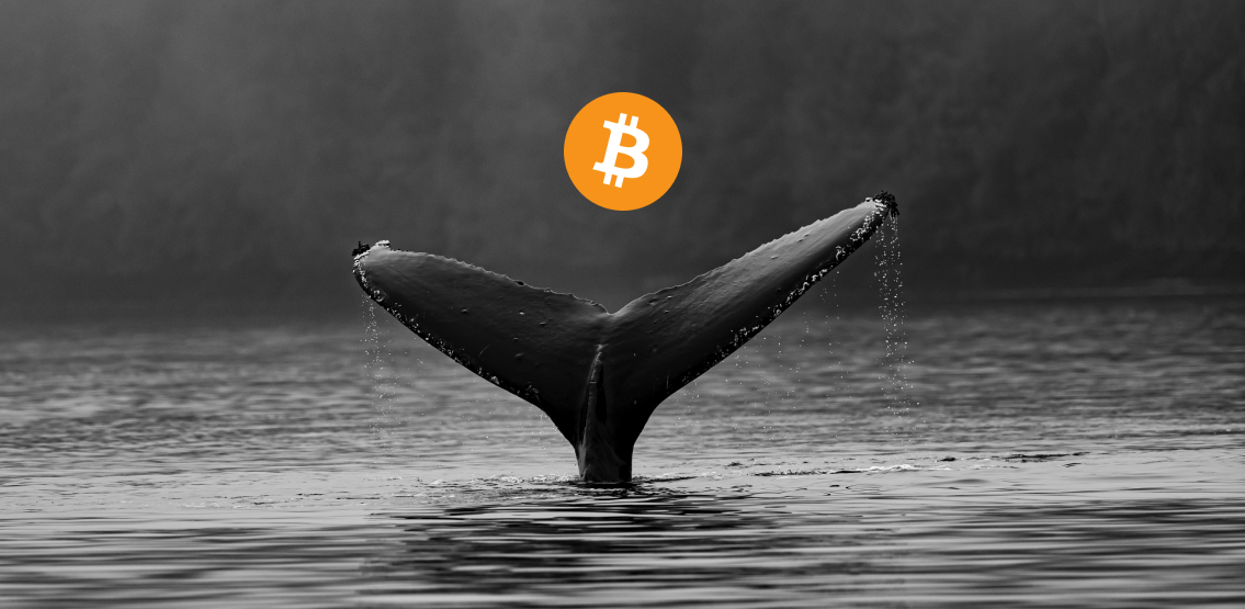 Cá voi tích lũy hơn 2 tỷ USD Bitcoin trong một tuần
