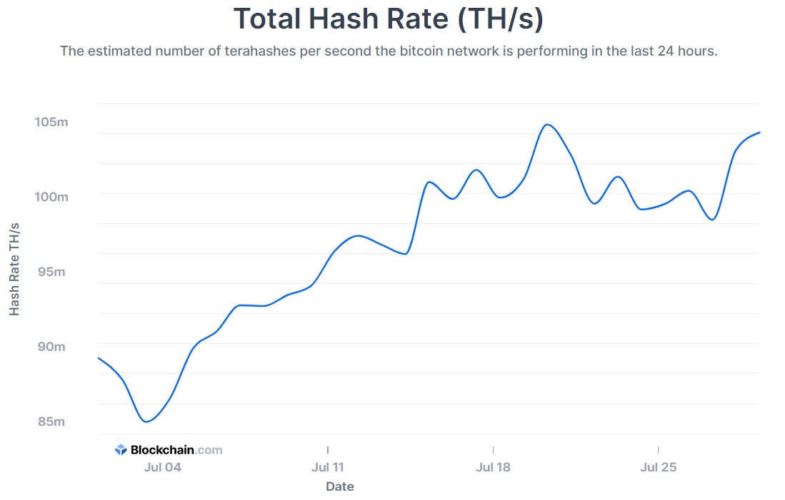 hashrate bitcoin