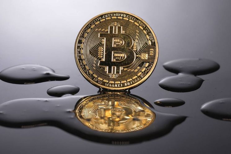 Holder liên tục tích lũy Bitcoin sau các đợt bán tháo