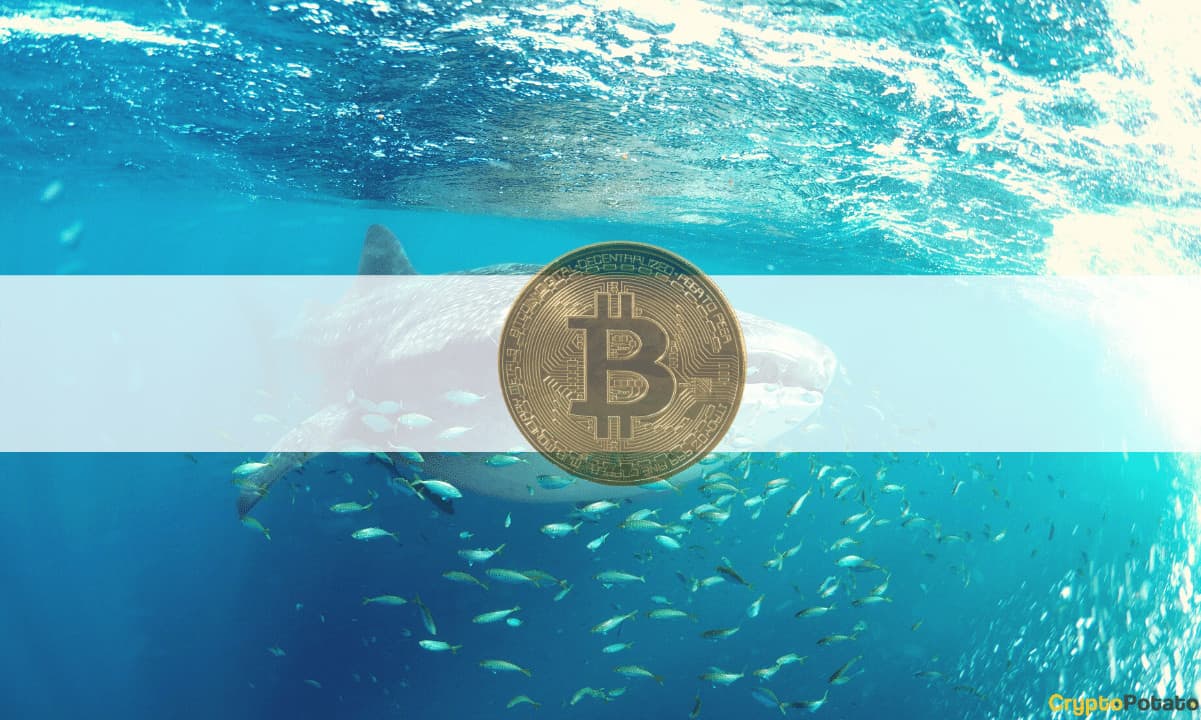 Một cá voi đã chi 13 triệu USD để 'gom' Bitcoin tại 40.500 USD