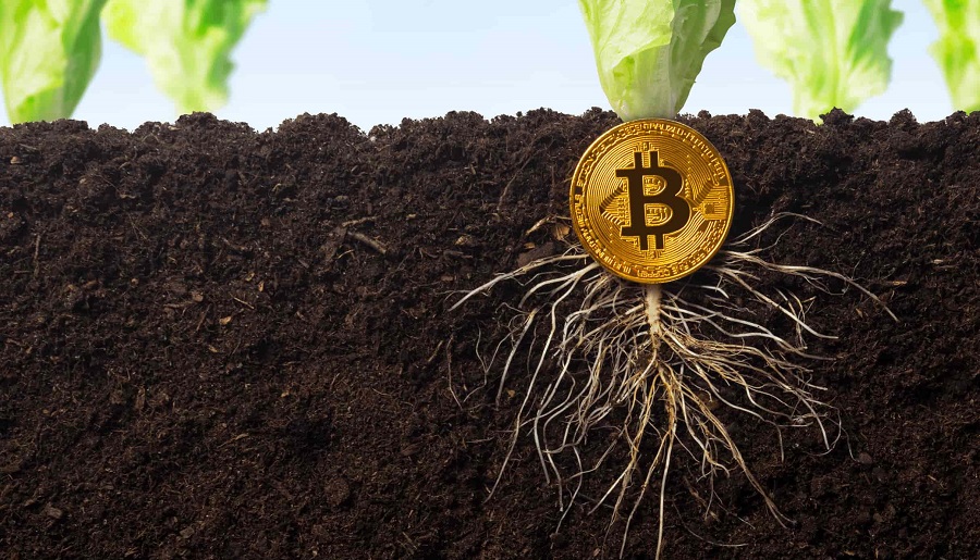 «Η τιμή του Bitcoin θα αυξηθεί με σταθερή αναβάθμιση Taproot»