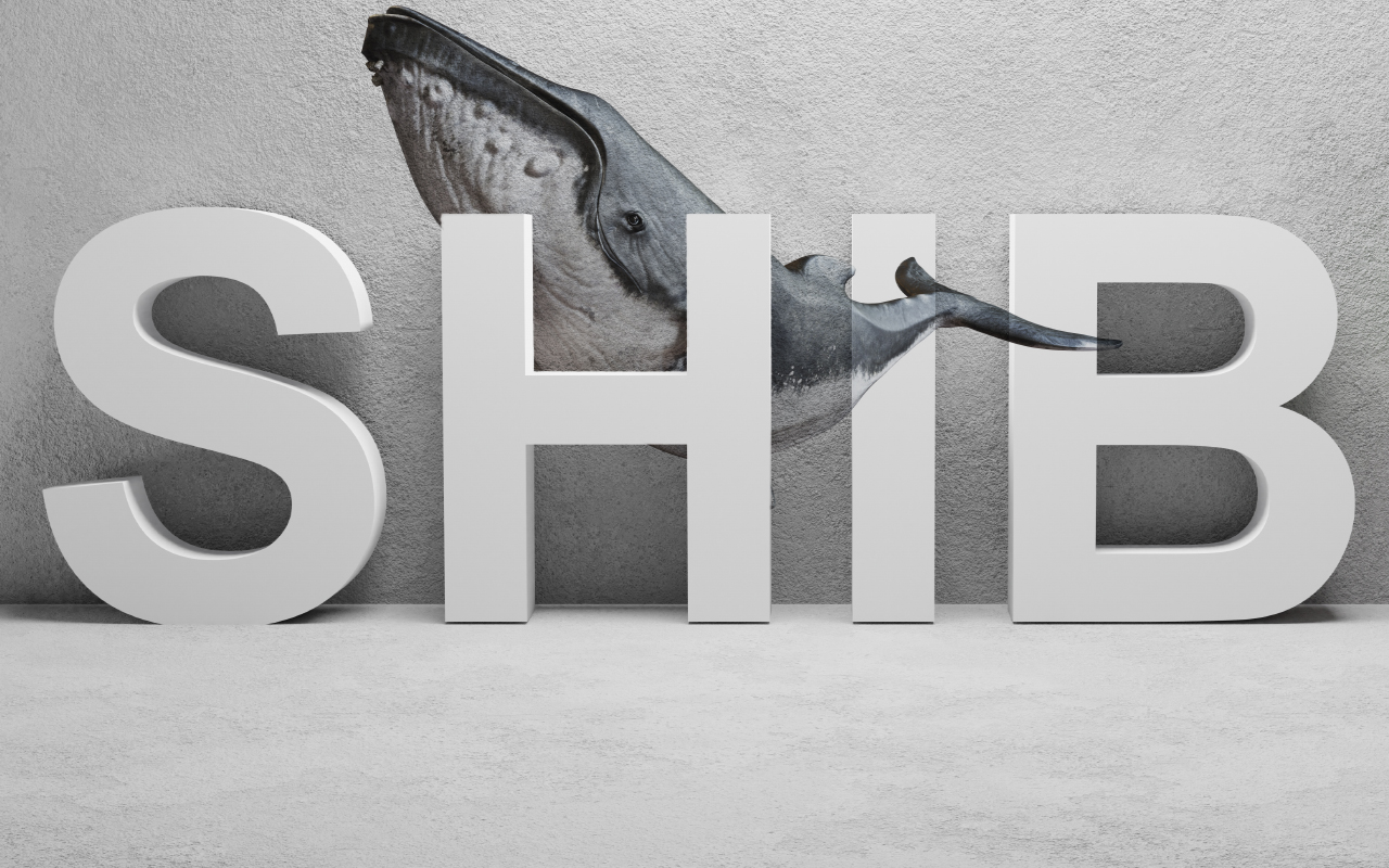 Giá Shiba Inu tăng vọt sau khi một cá voi 'bắt đáy' 25 tỷ SHIB