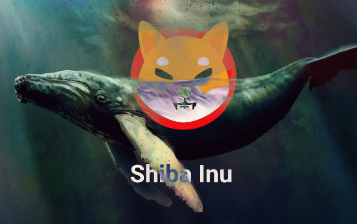 Hàng triệu USD Shiba Inu được di chuyển liên tục