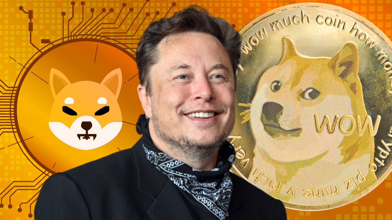 DOGE và Floki 'dựng cột' nhờ tweet của Elon Musk