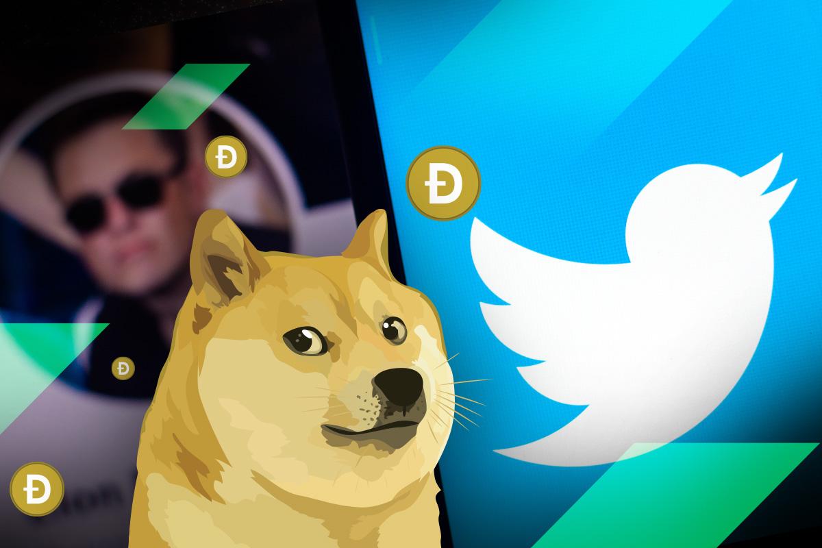Giá Dogecoin giảm 7% khi Twitter chỉnh lại logo chú chim xanh