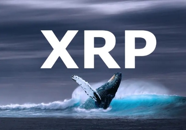 Cá voi di chuyển số lượng lớn XRP
