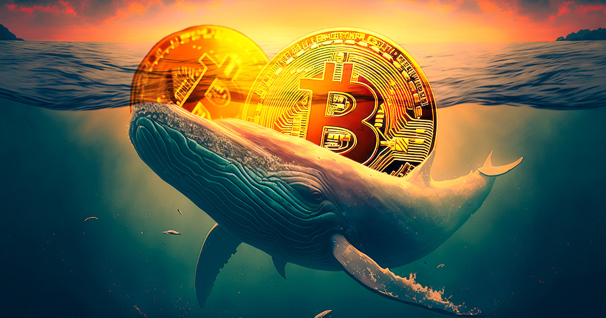 Cá voi bitcoin di chuyển sau 6 năm ngủ quên, chuyển 3000 BTC