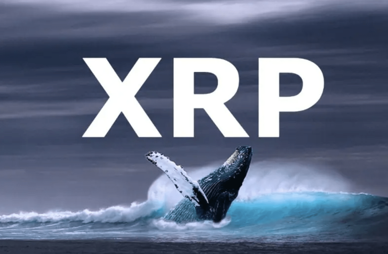 Cá voi đột ngột chuyển 400 triệu XRP sang ví mới, XRP sẽ tăng giá?