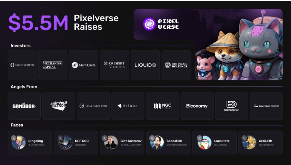 Nhà đầu tư của Pixelverse