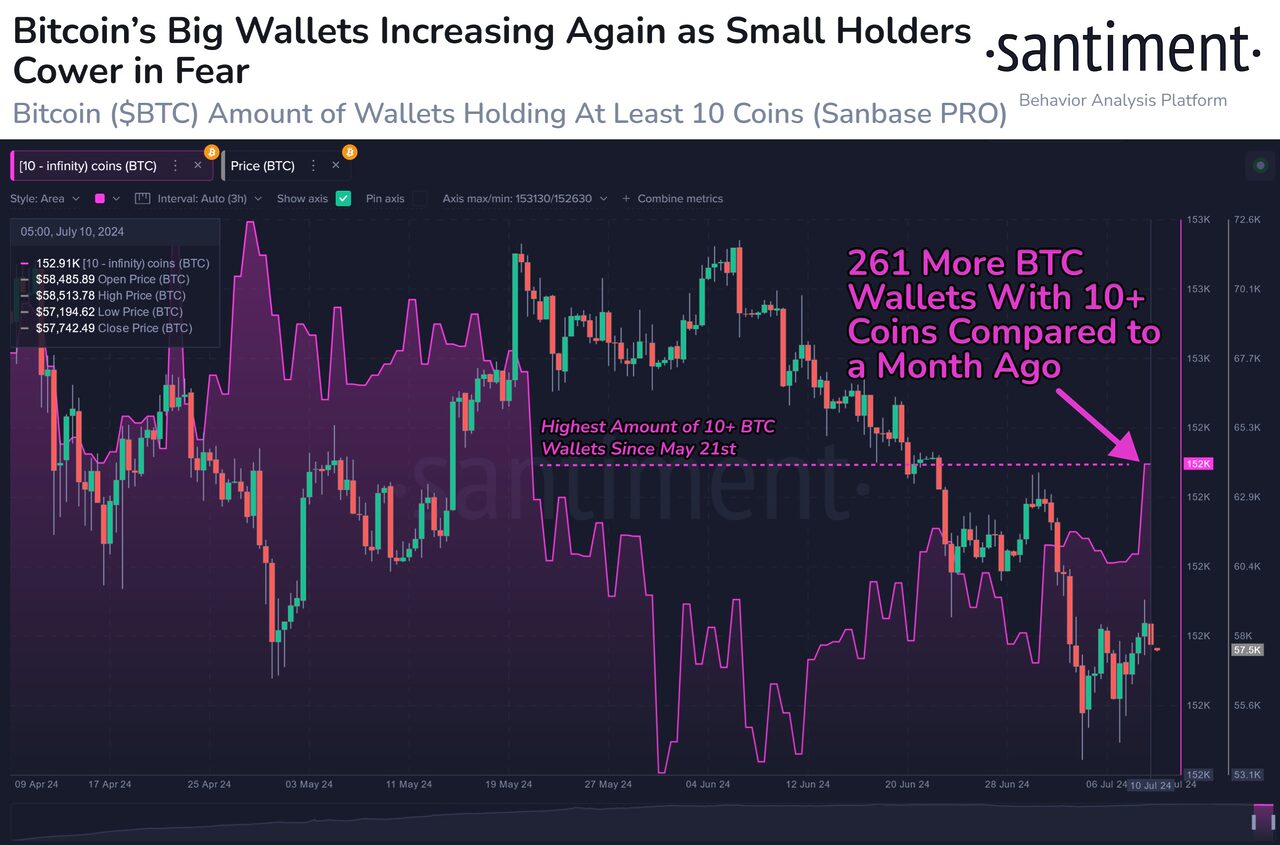 Số lượng ví Bitcoin có ít nhất 10 Bitcoin. Nguồn: Santiment