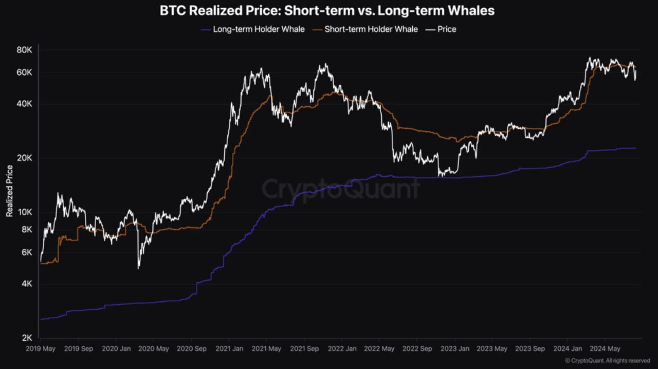 Giá thực tế của BTC: Cá voi ngắn hạn so với dài hạn. Nguồn: CryptoQuant