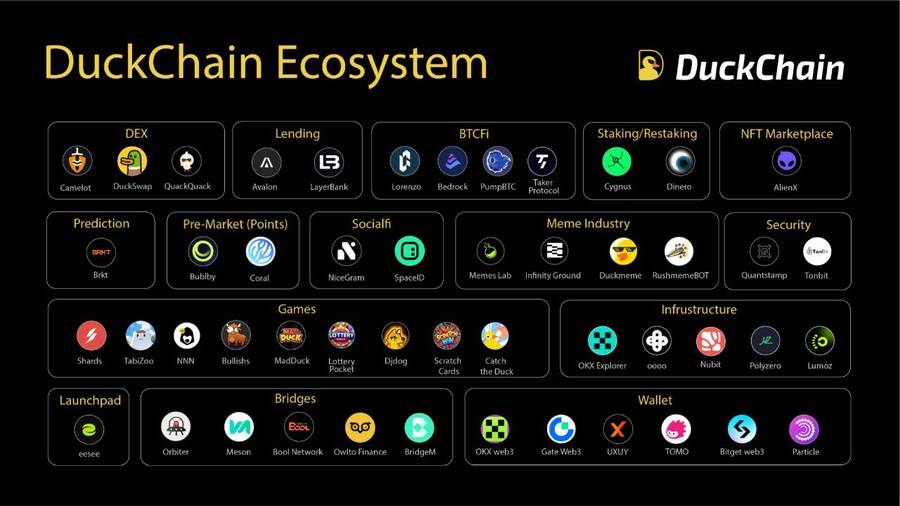 Hệ sinh thái DuckChain